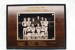 Volley_1_2005plaque